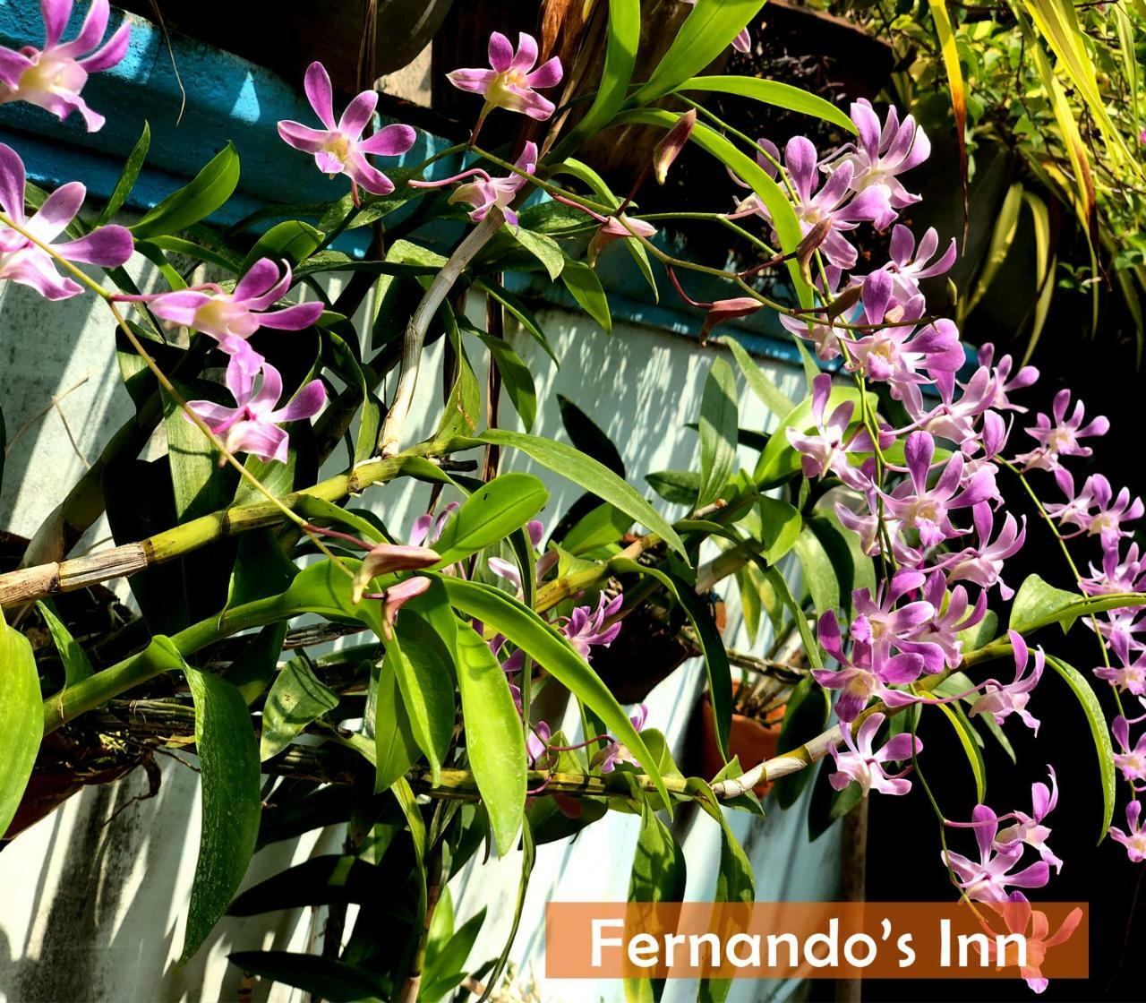 Fernando's Inn Negombo Exterior foto